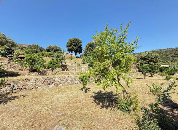 CORSE (20) commune d'ALATA : A vendre magnifique terrain à bâtir, viabilisé