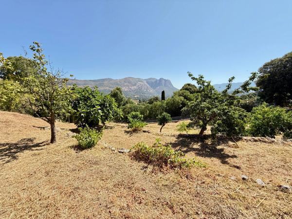 CORSE (20) commune d'ALATA : A vendre magnifique terrain à bâtir, viabilisé