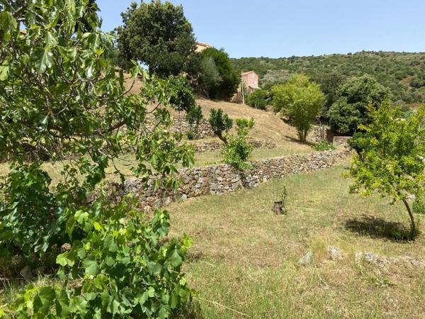 CORSE (20) commune d'ALATA : A vendre magnifique terrain à bâtir, viabilisé