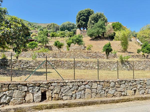CORSE (20) commune d'ALATA : A vendre magnifique terrain à bâtir, viabilisé