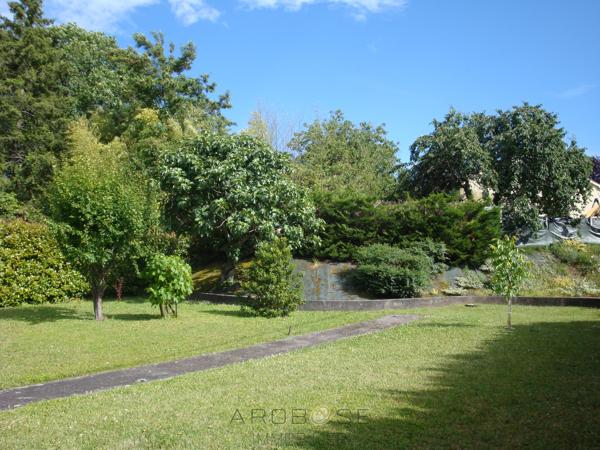 Maison, séchoir et jardin à pied des commodités