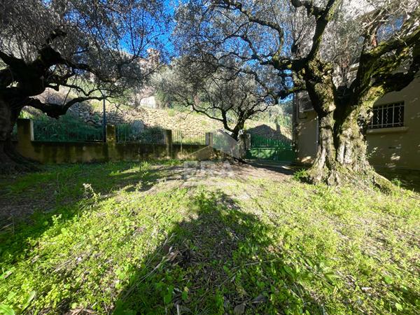 Beaumes-de-Venise ? Maison avec deux habitations indépendantes, vue Ventoux