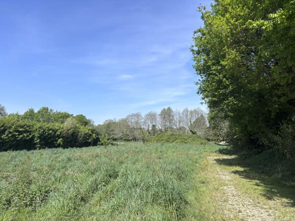 Terrain Clohars-Fouesnant Clohars-Fouesnant (29950)