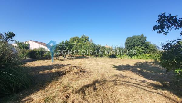 Villa
                                                                                                                                                                                                                                                                                                                        7 pièce(s)                                                                                                                                                                                                          6 chambre(s)                                                                                                                                                                                                          218  m²