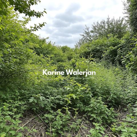 Courrières (62710) MAISON AUX BEAUX VOLUMES 164 M2 7 PIECES