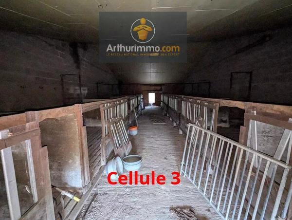 Vente Local commercial 3 pièces à Lanouée