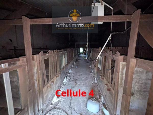 Vente Local commercial 3 pièces à Lanouée