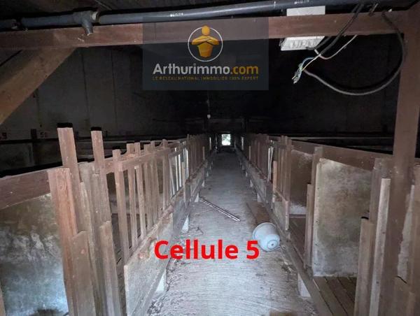 Vente Local commercial 3 pièces à Lanouée