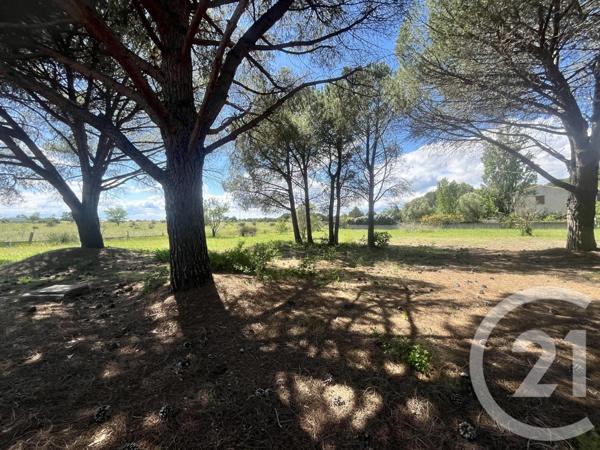 Maison à vendre  7 pièces - 200 m2 VIAS - 34