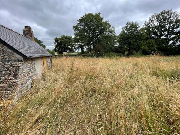 Bâtisse en pierre à rénover - 3 pièces - 74 m² - SAFFRE