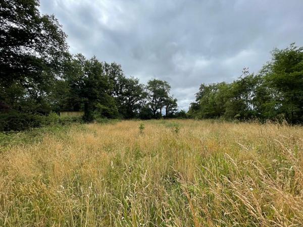 Bâtisse en pierre à rénover - 3 pièces - 74 m² - SAFFRE