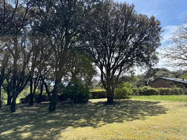 Maison plain-pied au coeur de la nature