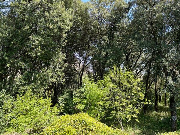 Maison plain-pied au coeur de la nature