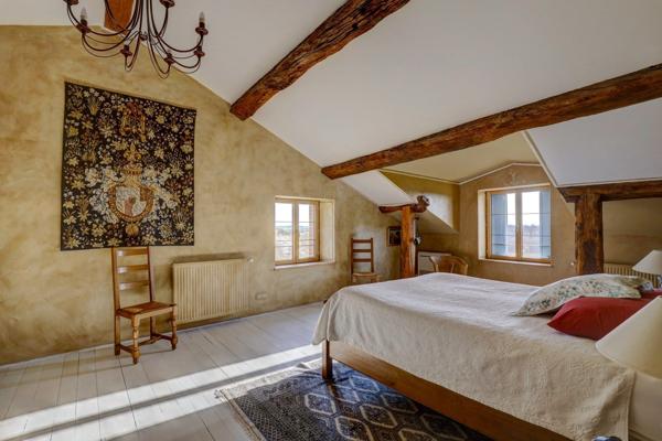 Vente Maison de luxe Albi 18 Pièces 585 m²
