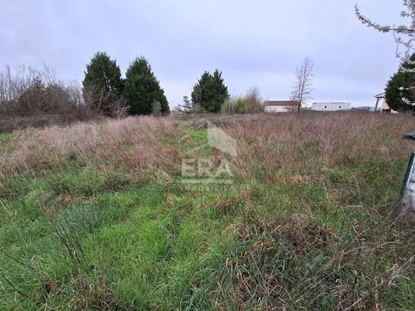 Terrain constructible de 3 490 m² avec piscine.