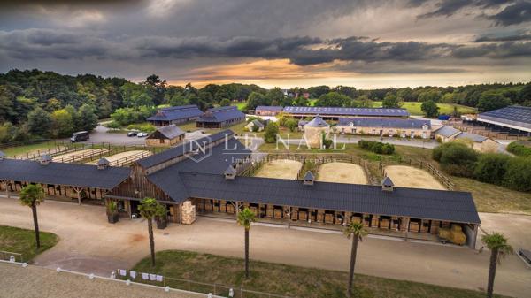 En Loire Atlantique, domaine équestre prestigieux