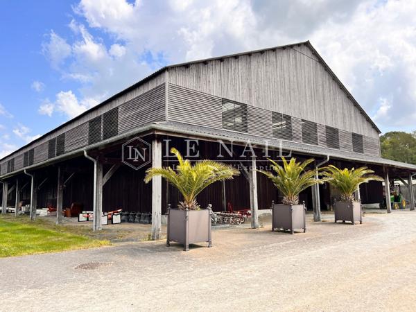 En Loire Atlantique, domaine équestre prestigieux