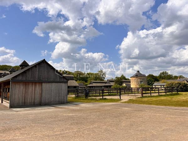 En Loire Atlantique, domaine équestre prestigieux