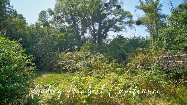 Maison à vendre 5 pièces SAINT HILAIRE EN WOEVRE (55) - dépendance - jardin sans vis-à-vis