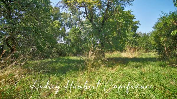 Maison à vendre 5 pièces SAINT HILAIRE EN WOEVRE (55) - dépendance - jardin sans vis-à-vis