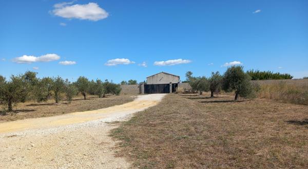 HANGAR AGRICOLE AVEC PARTIE HABITATION