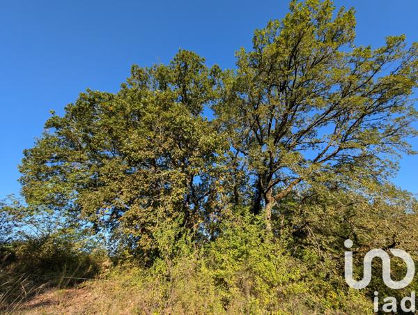 Terrain à vendre 20 220 m² Meyssac