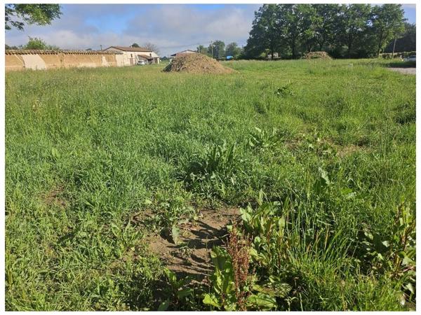 Terrain - MONTROND LES BAINS