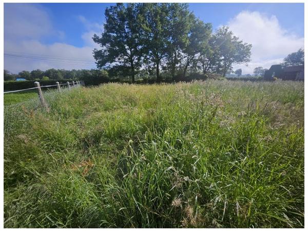Terrain - MONTROND LES BAINS