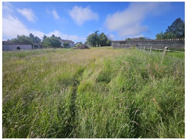 Terrain - MONTROND LES BAINS