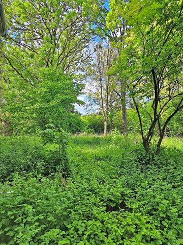 MAISON 233m² À RÉNOVER  SUR PARCELLE DE 2300m²