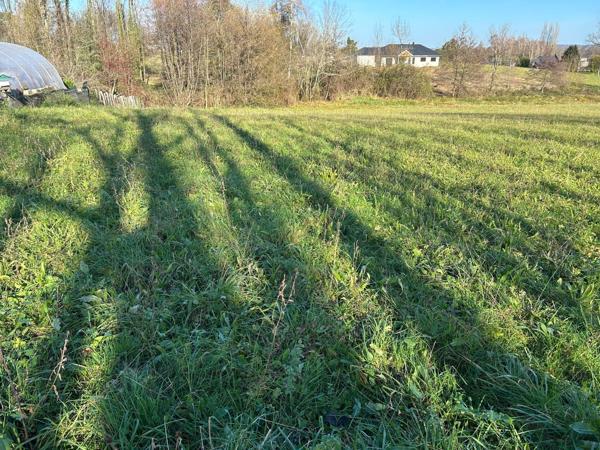 Vente / Terrain constructible