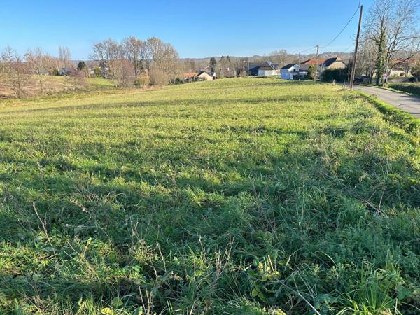 Vente / Terrain constructible