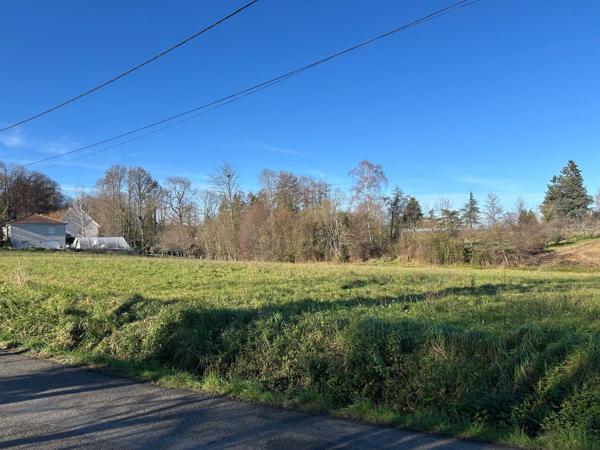 Vente / Terrain constructible