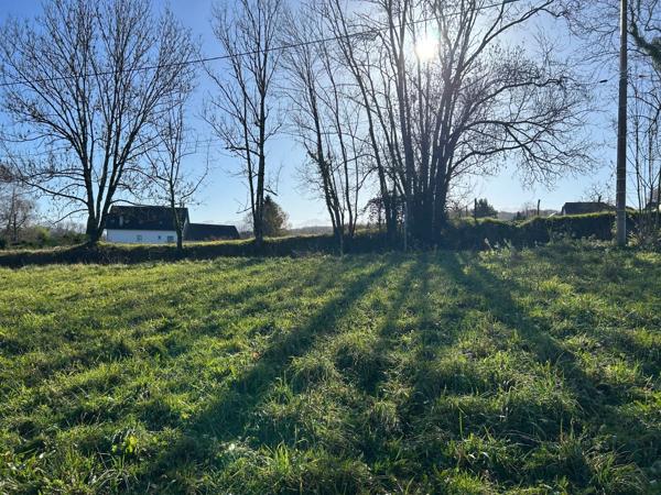 Vente / Terrain constructible