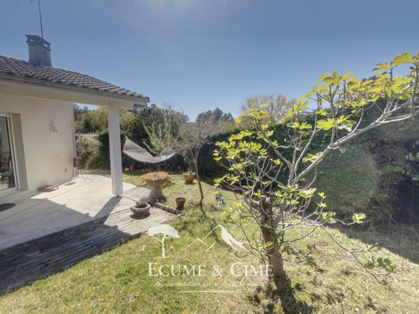 Villa rénovée avec piscine et grand studio indépendant