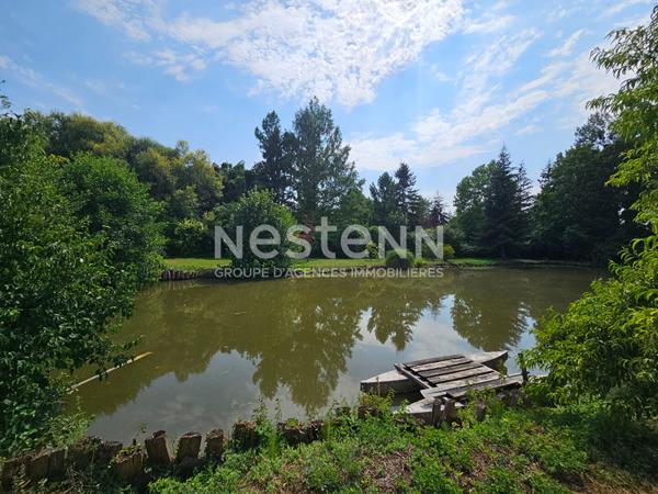 Maison de maître familiale avec 5 chambres, dépendances et plus de 5 000 m² de terrain à BAUGE EN ANJOU