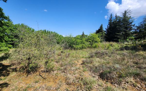 Terrain à vendre    Barjac