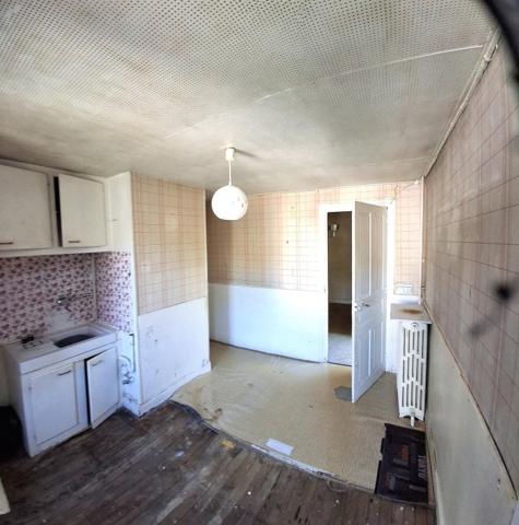 Vente / Maison à Vic-sur-Cère (15800)