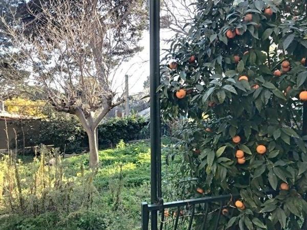 MAISON T5/T6 de 110m2 + MAISON ANNEXE 28m2