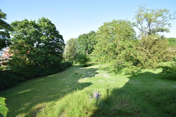 Maison bourgeoise des années 30 - Jardin de plus de 20 ares