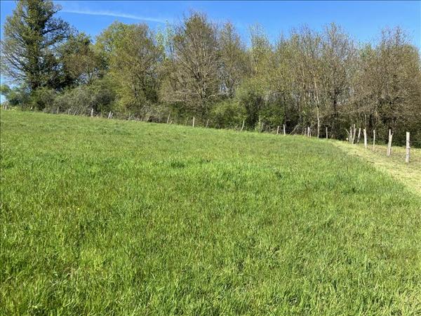 Terrain à vendre |  Saillat-sur-Vienne |  2316 m²