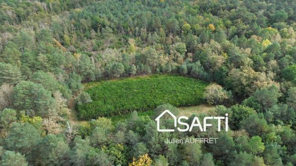 Calme, en pleine nature