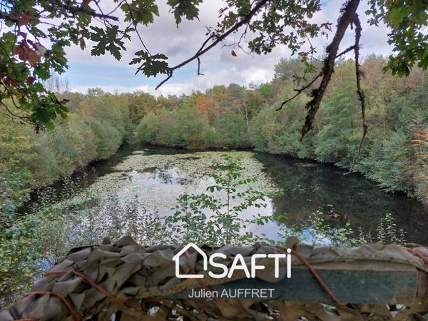 Calme, en pleine nature