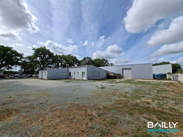 Local d'activité La Chaize Le Vicomte 540 m2 , La chaize le vicomte