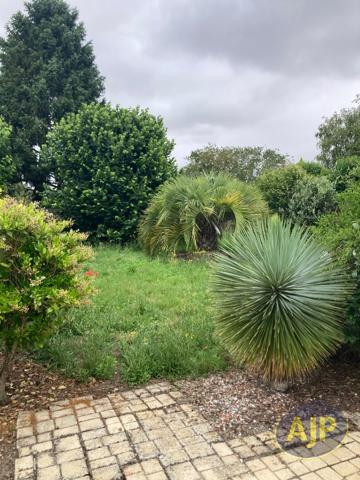 Location maison Saint Estephe : 600 € - AJP Pauillac Immobilier