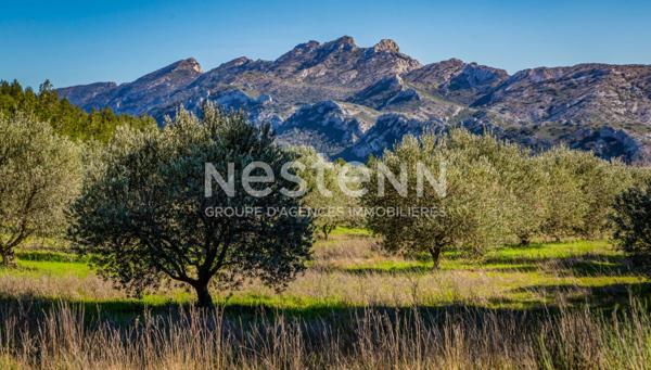 Fonds de commerce dans village des Alpilles 65 m²