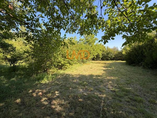 Propriété familiale rare avec parc arboré et fort potentiel foncier