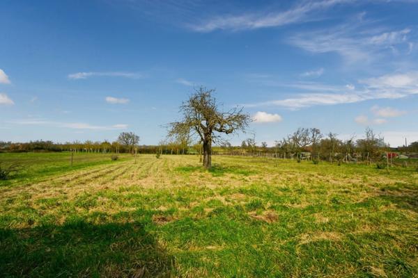 Saumur Nord - Maison de caractère entièrement rénovée de façon qualitative avec vie de plain pied, puits et garage.