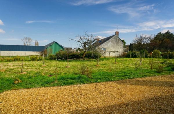Saumur Nord - Maison de caractère entièrement rénovée de façon qualitative avec vie de plain pied, puits et garage.