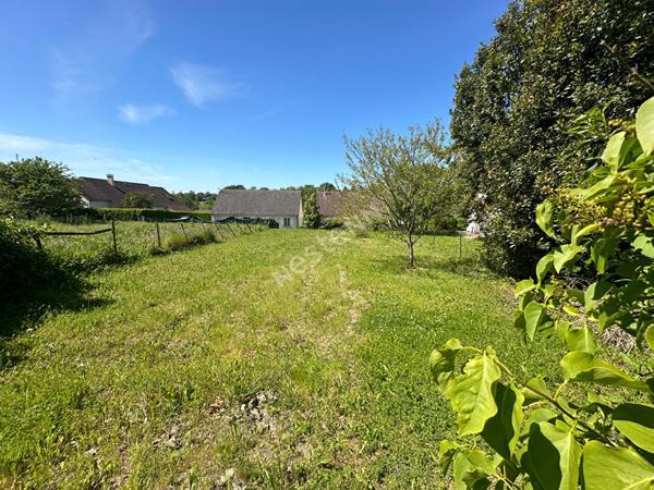 Agréable terrain constructible d'environ 360 m² à vendre à LUCEAU (72500)